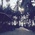 A road to Sea Crest , Sea Crest Beach Resort,Dahanu Dahanu Beach Hotel,Dahanu Beach Resort